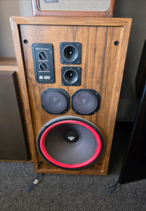 Cerwin Vega M-100